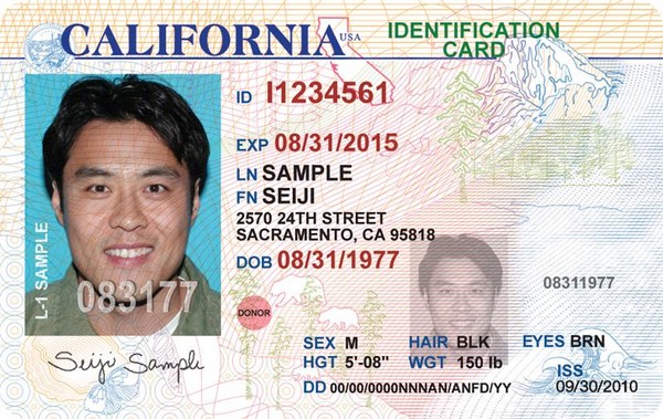 Lil b green card download free